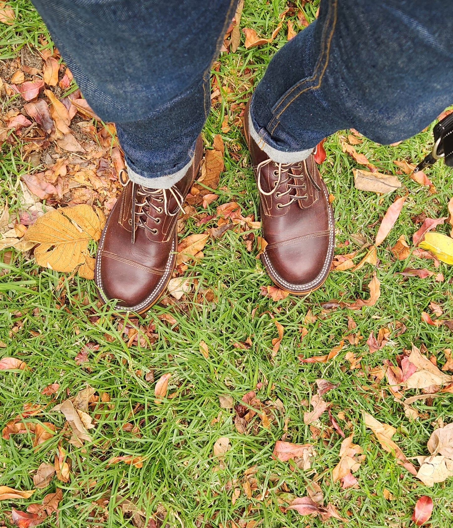 Tukano in Chestnut