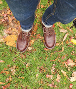 Tukano in Chestnut