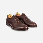 Oxford in Brown