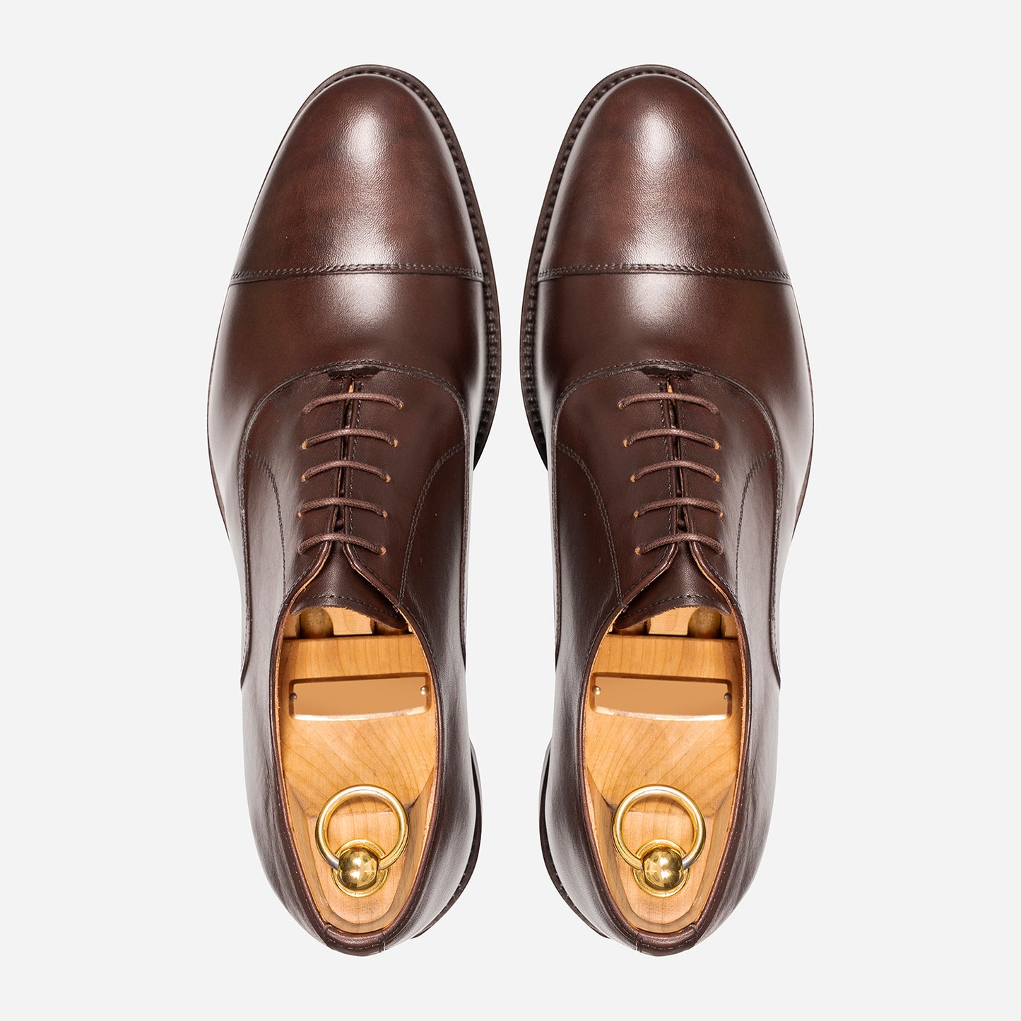 Oxford in Brown