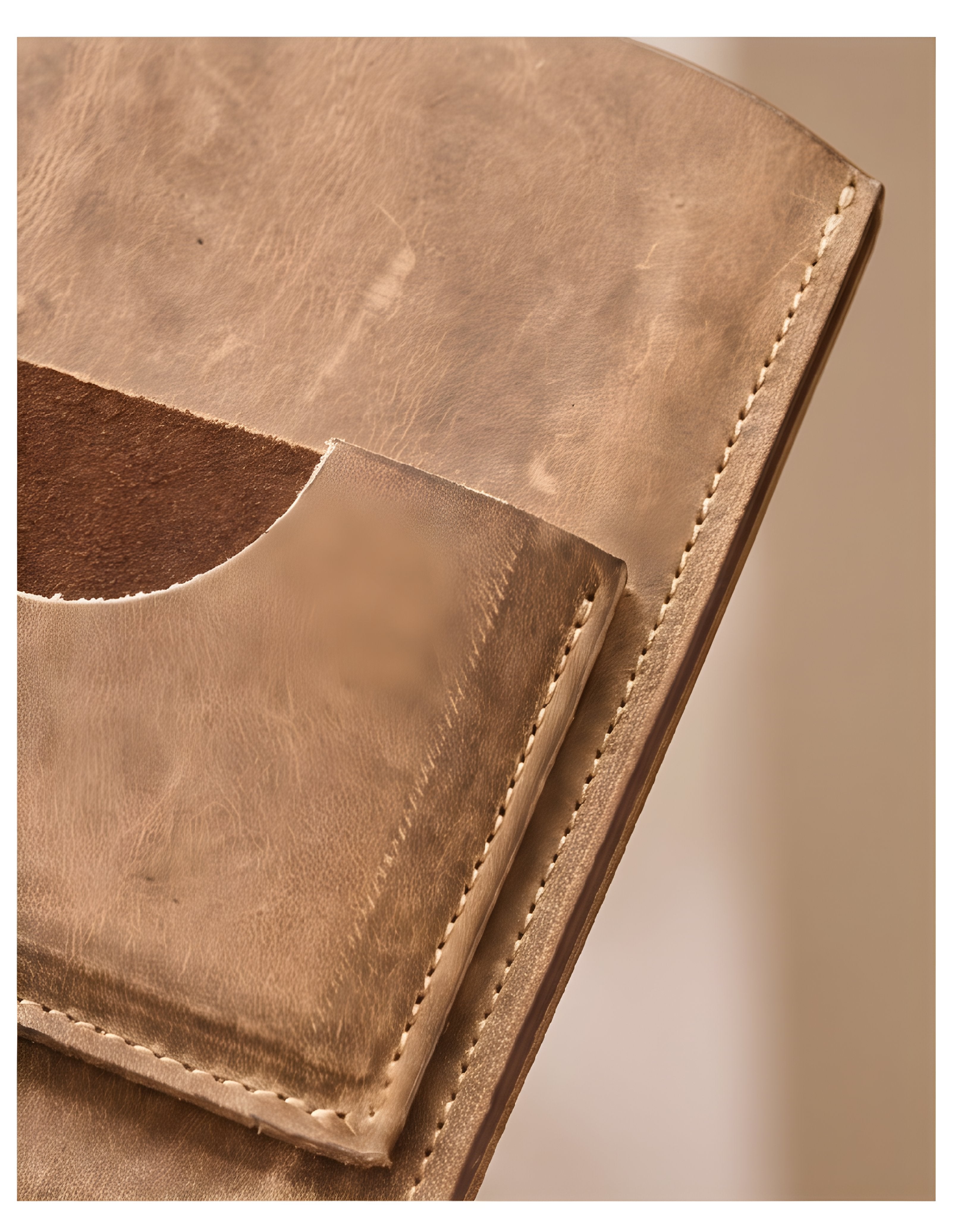 3 in 1 · Passport Holder · Waxed Flesh