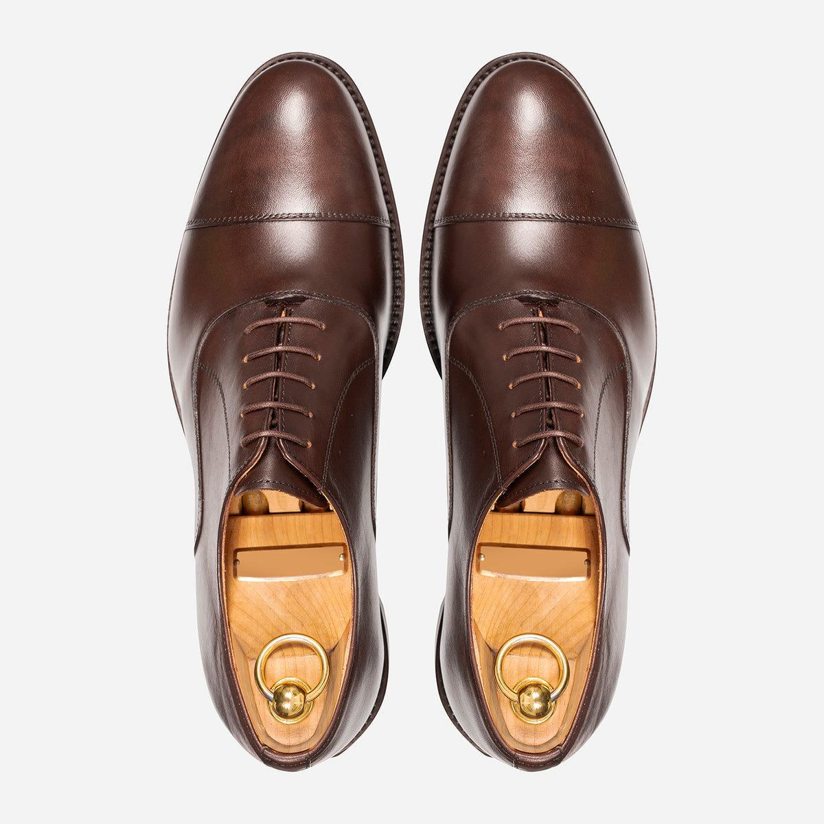 Oxford in Brown